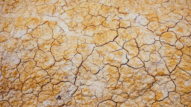 Do 28 stycznia wnioski na inwestycje chroniące przed suszą; fot. unsplash.com ARiMR: do 28 stycznia wnioski na inwestycje chroniące przed suszą