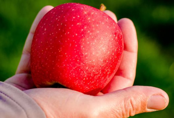 Jabłka Evelina; fot.evelina-apple.com Włoskie jabłka Ewelina zadebiutowały w Tajwanie