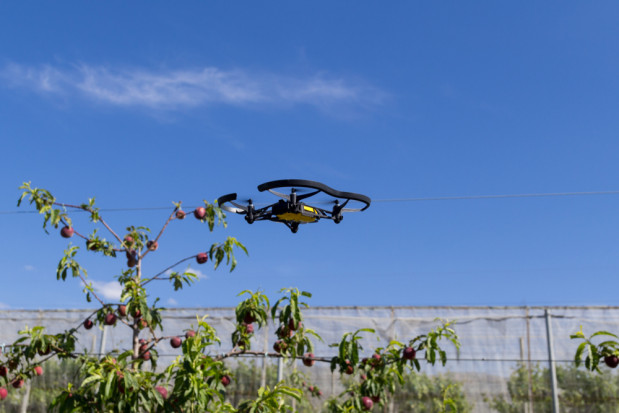 Kubota inwestuje w branżę latających autonomicznych robotów do zbioru owoców