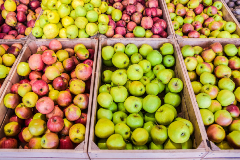 WAPA: Ile jabłek w europejskich i polskich chłodniach w styczniu?