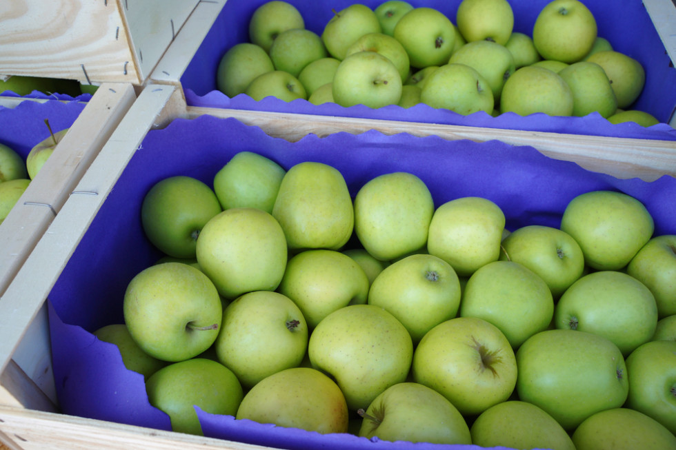 Ceny jabłek na sortowanie: w handlu widoczne jest ożywienie