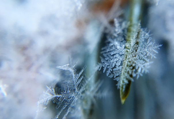W lutym mogą powrócić silne mrozy z temperaturą - 30 st. C/ fot. pixabay IMGW: w lutym mróz nawet do -30 st. C; mogą być przynajmniej dwa tak zimne okresy