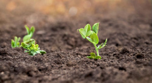 Rośliny i bakterie mogą oczyszczać glebę z zanieczyszczeń ropopochodnych