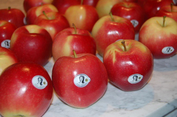 Jabłka Grójeckie w ofercie Lidla; fot. redakcja Lidl: Jabłka Grójeckie za 5,99 zł/kg