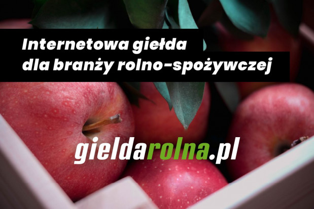GieldaRolna.pl - tu szybko i sprawnie sprzedasz lub kupisz owoce i warzywa
