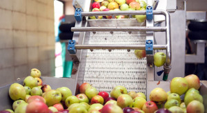 Czy możemy liczyć na wzrost eksportu zagęszczonego soku jabłkowego?