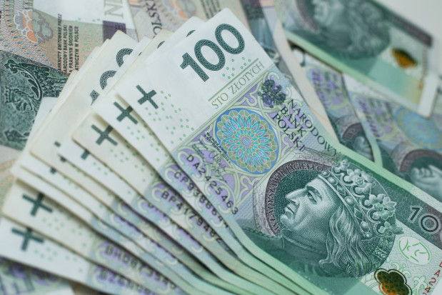 O wsparcie do zakupu sprzętu komputerowego wraz z niezbędnym oprogramowaniem i akcesoriami ubiegało się 39 tysięcy rolników./fot. shutterstock.com ARiMR: blisko 40 mln zł dopłat do komputerów na kontach rolników