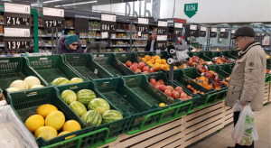 Rosja: jak poradzono sobie z zastępowaniem importu owoców i warzyw? Analiza