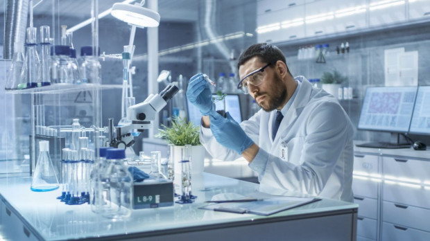 Kanadyjscy naukowcy z sukcesem pracują nad antybiotykami roślinnymi/fot. shutterstock Kanadyjscy naukowcy pracują nad antybiotykami roślinnymi