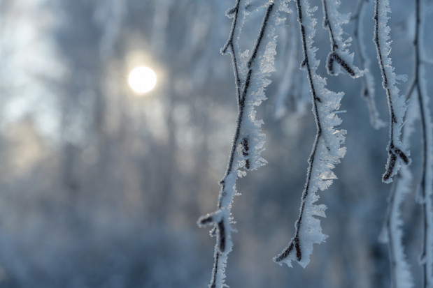 Kolejny mroźny poranek na północy i w centrum kraju. /fot. shutterstock.com Silny mróz na północy i w centrum kraju
