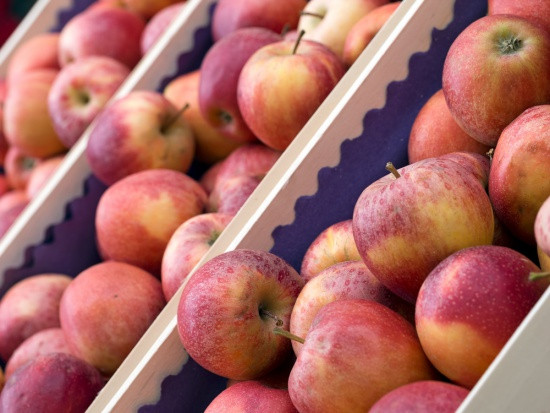 Od lat nie mieliśmy tak dobrego stycznia/fot. shutterstock.com Fruit-Group: To był najlepszy styczeń w sprzedaży jabłek od lat