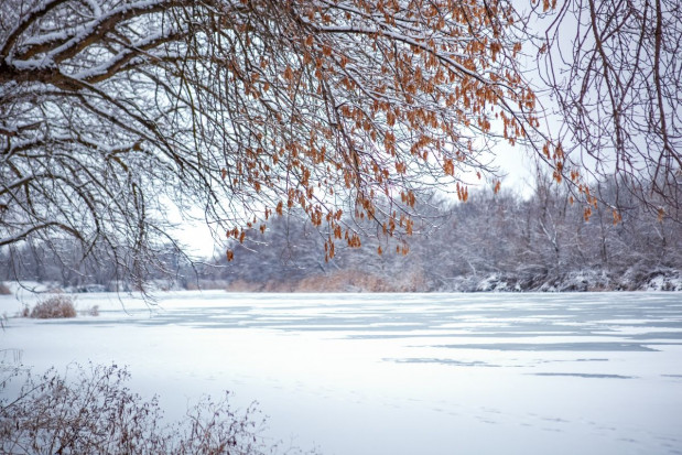Ostrzeżenie hydrologiczne dla Pilicy w rejonie Białobrzegów; fot. shutterstock.com IMGW z ostrzeżeniem hydrologicznym dla Pilicy w rejonie Białobrzegów