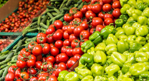 Bronisze: Jakie ceny i dostępność warzyw w hurcie?