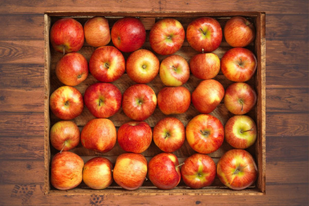 Genesis Fresh: wkrótce wyższe ceny i wzrost popytu na polskie jabłka