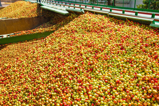 Zagęszczony sok jabłkowy: większy popyt szansą na wzrost sprzedaży