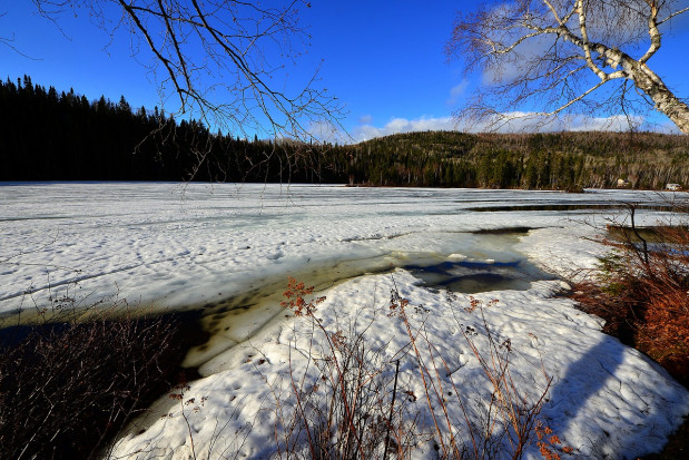 Pogoda w ciągu kilku dni zmieni się diametralnie/ fot. pixabay IMGW: W nadchodzącym tygodniu ocieplenie; w weekend nawet 13 st. C
