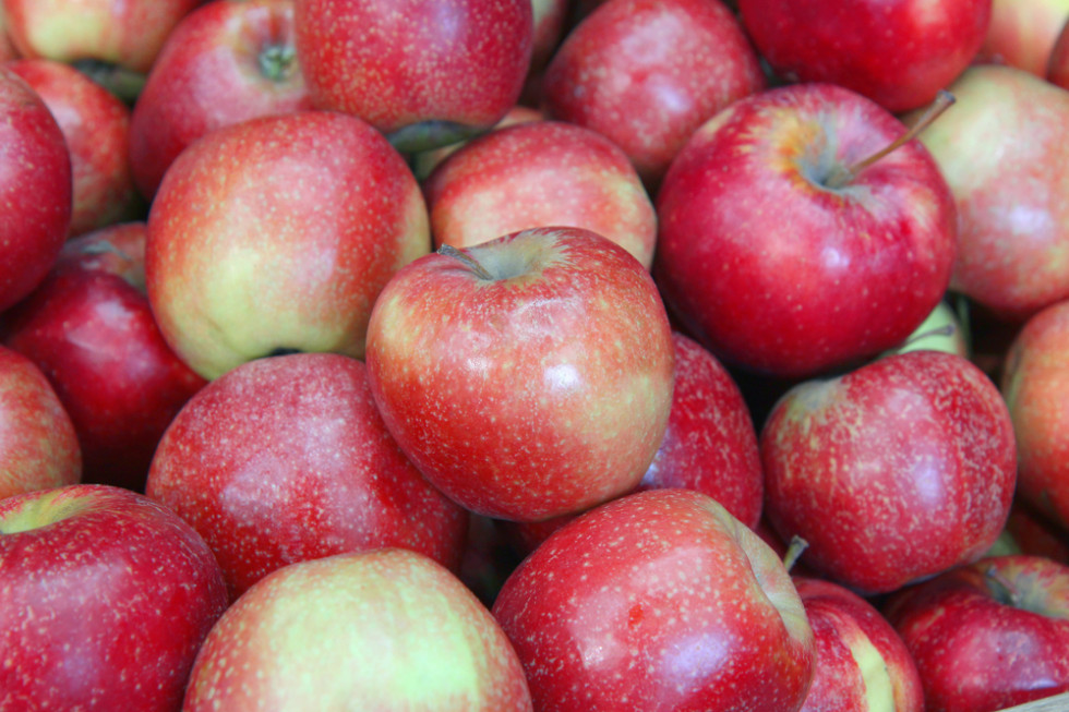 Irańscy sadownicy mają problem z nadwyżką jabłek