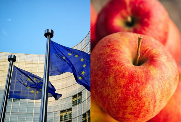 Unia Owocowa: Co Europejczycy myślą o działaniach UE w zakresie rolnictwa?/fot. shutterstock.com/ canva Unia Owocowa: Co Europejczycy myślą o działaniach UE w zakresie rolnictwa?