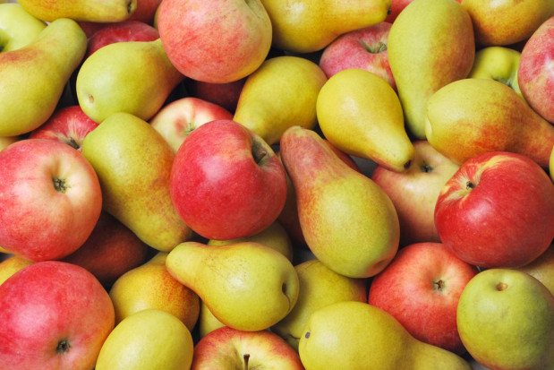 Belgia ma mniej jabłek w magazynach niż w ubiegłym roku/ fot. shutterstock Belgijskie zapasy owoców: mniej jabłek, więcej gruszek