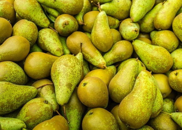 Zniszczono ponad 40 t polskich gruszek; fot. shutterstock.com Rossielchoznadzor: zniszczono ponad 40 t polskich gruszek