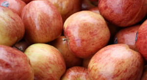 Eksporter: duży popyt na polskie jabłka. Ceny będą rosły