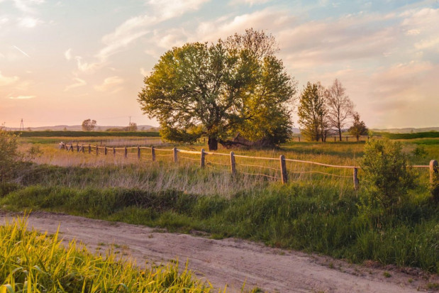 Będzie wsparcie na scalanie gruntów; fot. unsplash.com MRiRW: duże rozdrobnienie agrarne. Będzie wsparcie na scalanie gruntów