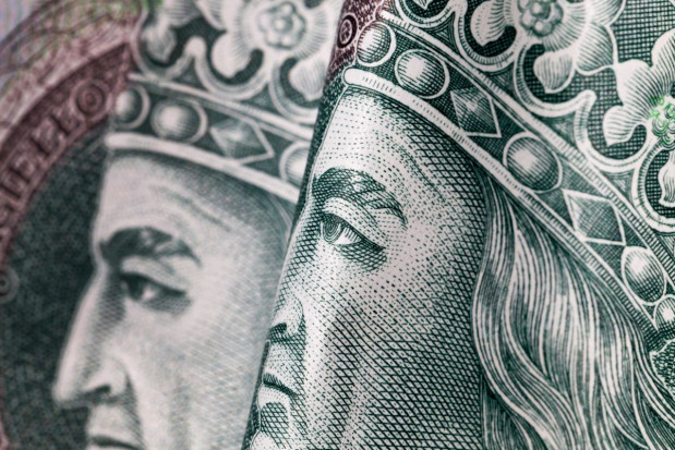 KPO: tylko 2,5 mld zł rząd planuje przeznaczyć na rolnictwo; fot. shutterstock.com PSL: Tylko 1% funduszy z Krajowego Planu Odbudowy trafi na rolnictwo