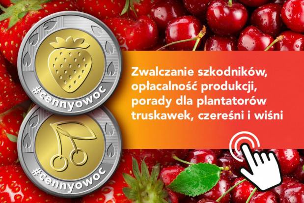 Zadbaj o #cennyowoc; fot. materiały prasowe Zadbaj o #cennyowoc - rusza kampania edukacyjna dla sadowników
