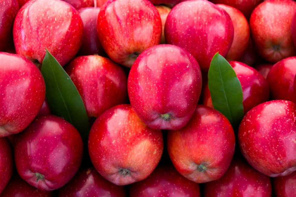 Grójeccy sadownicy pojechali promować europejskie jabłka w Dubaju
