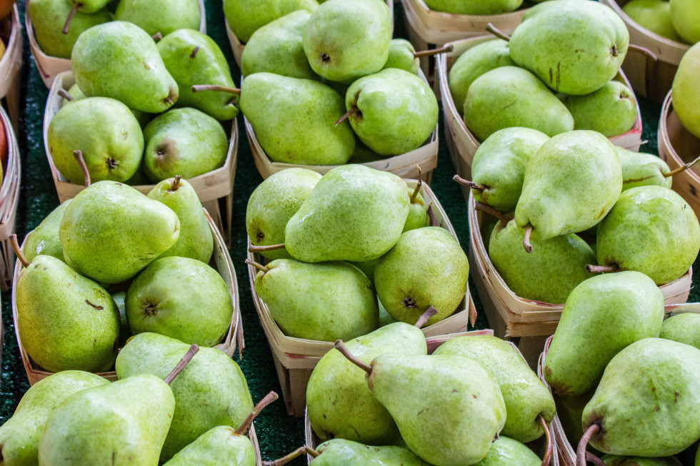 Dlaczego Belgowie porównują swój rynek gruszek do polskiego rynku jabłek?