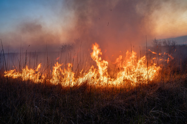 Nie wypalaj traw, bo stracisz dopłaty!; fot. shutterstock.com ARiMR: nie wypalaj traw, bo stracisz dopłaty!