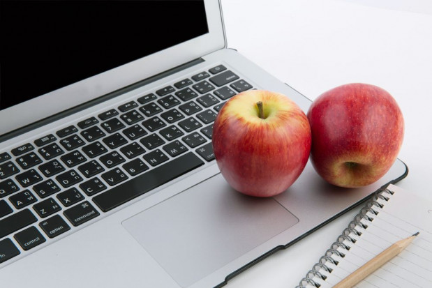 Sadownicy będą szkolić się on-line/ fot. shutterstock Nowe technologie kluczem w rozwoju sadownictwa. Rusza cykl szkoleń online