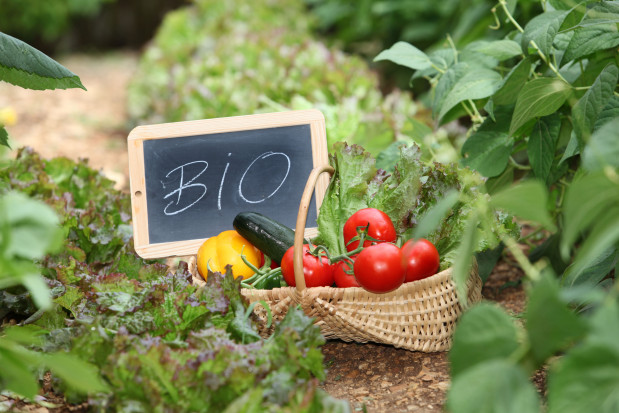 Coraz mniej producentów ekożywności; fot. shutterstock.com PSL: Coraz mniej producentów ekożywności. Niech zajmie się tym minister