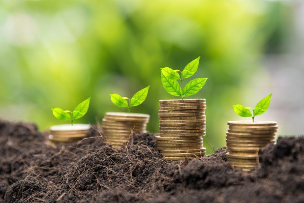 Od 15 marca - rolnicy będą mogli zacząć składać wnioski o płatności bezpośrednie/ fot. shutterstock Płatności bezpośrednie w 2021 r. - najważniejsze zmiany