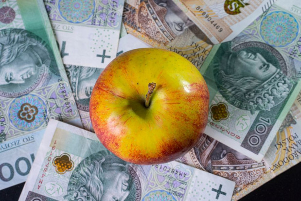Sadownicy postulują zmiany w Krajowym Planie Strategicznym Wspólnej Polityki Rolnej/ fot. shutterstock Sadownicy postulują zmiany w Krajowym Planie Strategicznym WPR