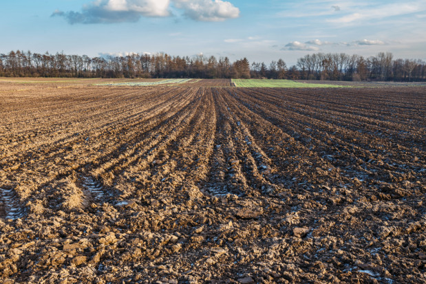 Rząd przyjął projekt ustawy o wstrzymaniu sprzedaży państwowej ziemi/fot. shutterstock.com Rząd przyjął projekt ustawy o wstrzymaniu sprzedaży państwowej ziemi