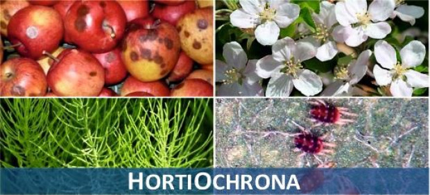 HortiOchrona - internetowy system wspierający integrowaną ochronę roślin przed agrofagami