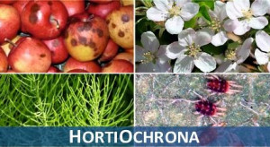 HortiOchrona - internetowy system wspierający integrowaną ochronę roślin przed agrofagami