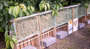 Murarka ogrodowa kolejny raz ambasadorką akcji „Budujemy populację owadów zapylających”