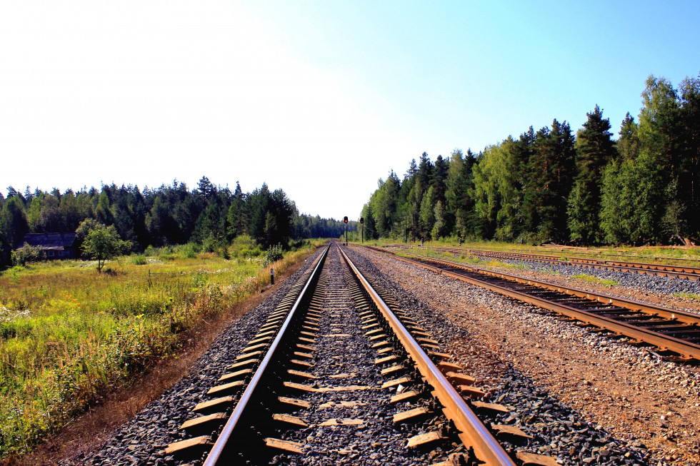 PKP chce zwiększyć udział transportu kolejowego w przewozie żywności; fot. unsplash.com Polskie owoce i warzywa pojadą w świat koleją?