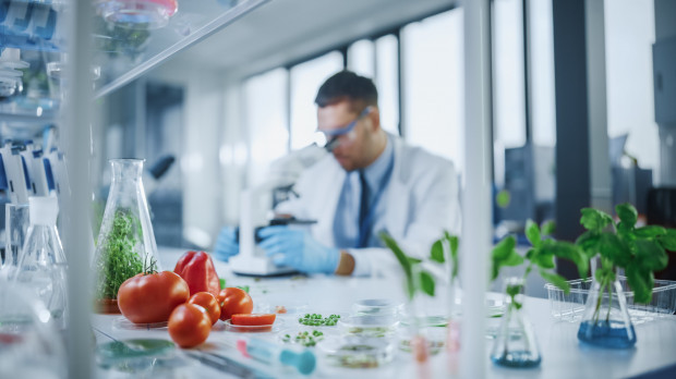 Stosowane modyfikacje genetyczne najczęściej mają na celu uodpornienie roślin; fot. shutterstock.com GMO - na co można uodpornić rośliny?