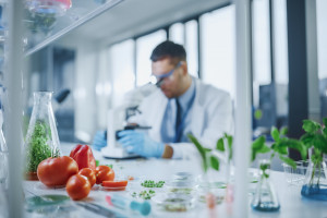 GMO - na co można uodpornić rośliny?