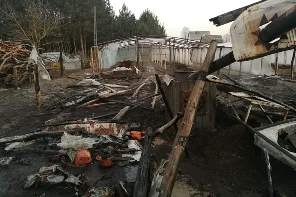 Straty wyceniane są na kilkanaście tysięcy złotych/fot. Facebook OSP Brzegi Świętokrzyskie: Pożar w gospodarstwie ogrodniczym. Spłonął dorobek życia