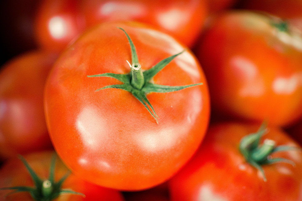Pomidory biją rekordy cenowe