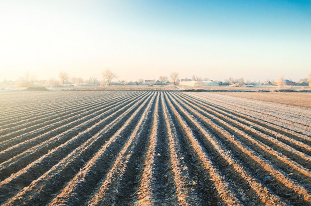 Sejmowa komisja opowiedziała się za przedłużeniem zakazu sprzedaży państwowej ziemi rolnej/ fot. shutterstock Sejmowa komisja za przedłużeniem zakazu sprzedaży państwowej ziemi rolnej