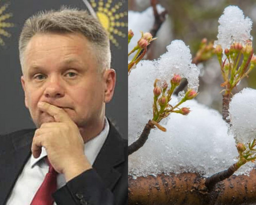 Trudności z zawieraniem ubezpieczeń z dopłatami z budżetu Państwa wraca co roku jak bumerang./fot.sadyogrody.pl/shutterstock.com Maliszewski: Znów problem z ubezpieczeniem upraw z dopłatą państwa