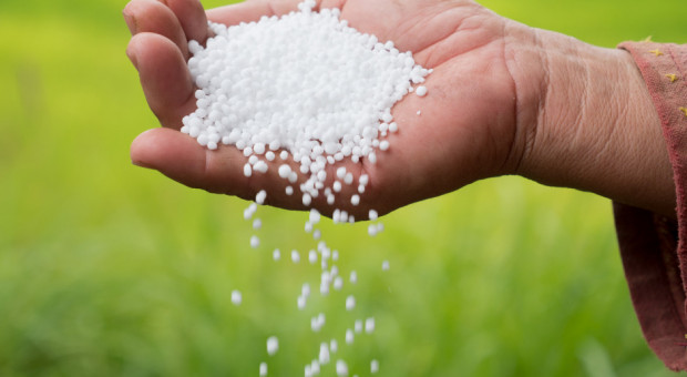 Od 1 sierpnia 2021 r. nie będzie można stosować mocznika w dotychczasowej formie użytkowej/ fot. shutterstock Mocznik z inhibitorem ureazy lub powłoką biodegradowalną