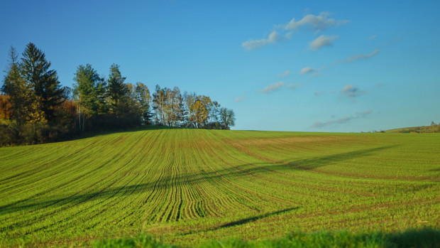 Sejm znowelizował w środę ustawę o wstrzymaniu sprzedaży nieruchomości Zasobu Własności Rolnej Skarbu/fot. shutterstock.com Ustawa o wstrzymaniu sprzedaży ziemi znowelizowana przez Sejm