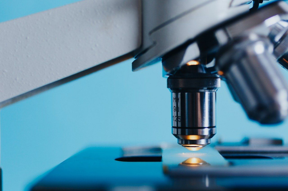 Akredytacja jest potwierdzeniem najwyższych kompetencji laboratoriów GIORiN w zakresie oceny laboratoryjnej materiału siewnego / fot. pixabay Laboratoria GIORiN z akredytacją ISTA zatwierdzone przez australijskie ministerstwo