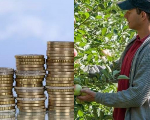 Kwota premii dla młodych rolników pozostanie bez zmian/ fot. shutterstock.com Kwota premii dla młodych rolników pozostanie bez zmian